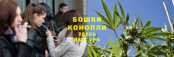 сатива Верея