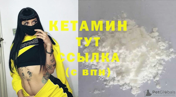 сатива Верея