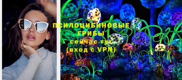 PSILOCYBIN Бугульма