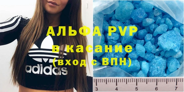 сатива Верея