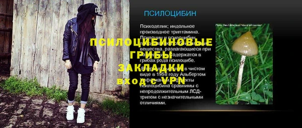 таблы Бородино