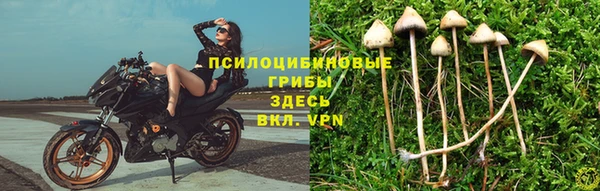 apvp Верхний Тагил