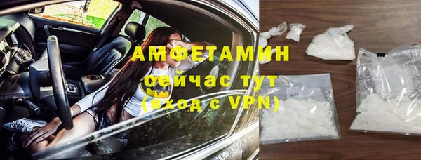 сатива Верея