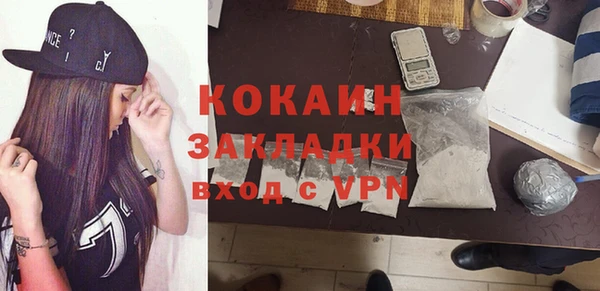 сатива Верея