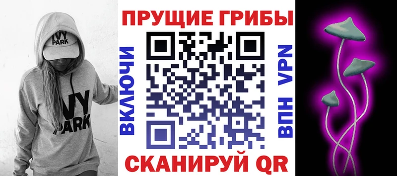 Псилоцибиновые грибы Psilocybine cubensis  Духовщина 